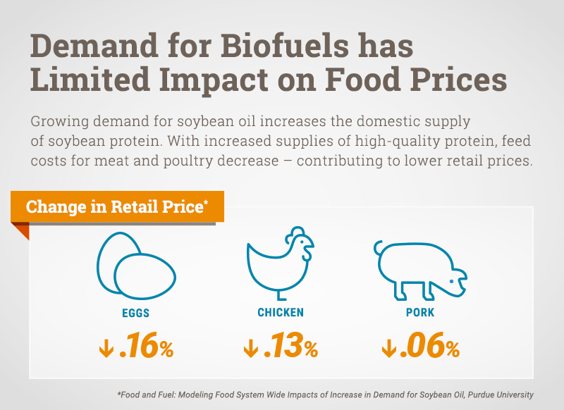 Demand for Biofuels has Limited Impact on Food Prices Infographic